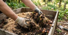 A composteira pode receber folhas secas e restos vegetais, mas o equilíbrio dos materiais muda o resultado