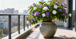 A árvore que pode ser cultivada em vaso e perfuma todo o jardim