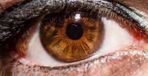 Foto: (RobertHarris000/istock)