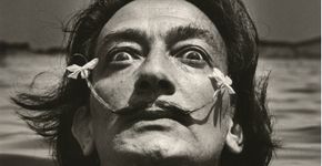 São Carlos ganha acervo com 100 gravuras de Salvador Dalí