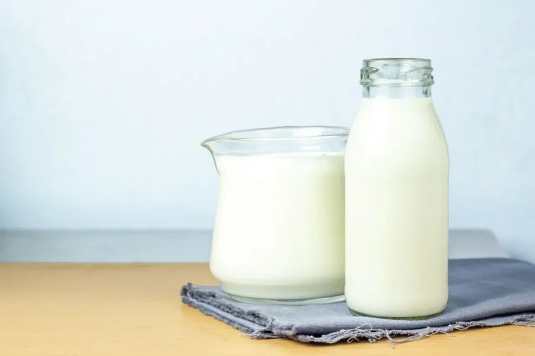 Leite e derivados não devem ser excluídos da dieta sem orientação profissional (Imagem: Scream band | Shutterstock)