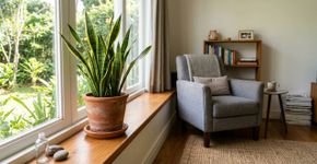 As 5 plantas que a NASA elegeu como as melhores para ter dentro de casa