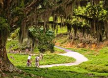 Featured side: Um roteiro de 330 km para explorar o Circuito das Frutas de bike