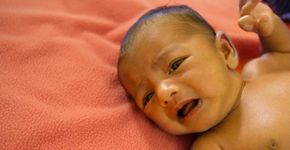 Foto: (Arindam Ghosh/istock)