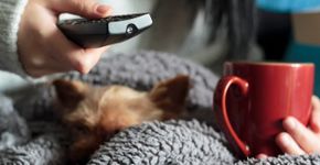 Foto: (iStock/rfranca)