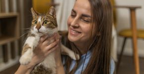 Foto: (MSTORY/istock)