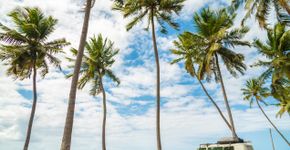 Foto: (Pollyana Ventura/iStock)