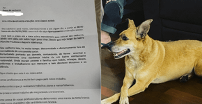 Foto: (Reprodução/Instagram)