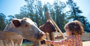 Foto: (Uretski/istock)
