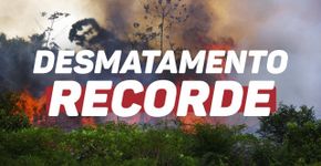 Brasil pedirá ajudar internacional para controlar crise na Amazônia