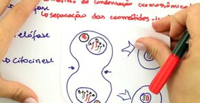Canais no YouTube ajudam a estudar para o Enem de graça