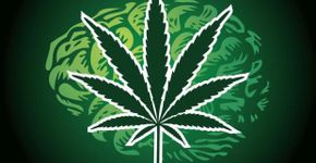 Maconha usada no tratamento de fobia