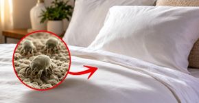 A roupa de cama não deve ser trocada a cada quinze dias nem uma vez por mês: este é o período recomendado para fazer a troca
