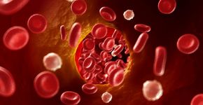 Foto: (iStock/SciePro)