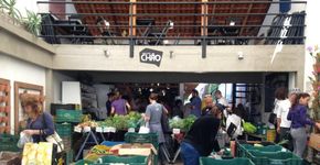 Instituto Chão: muito além dos orgânicos