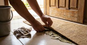 Louros embaixo do tapete: o segredo simples para uma casa com cheiro fresco.