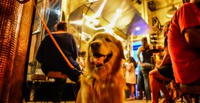 Da Roberta, dos pets, de todos nós