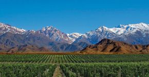 Roteiro lista vinícolas de Mendoza, na Argentina