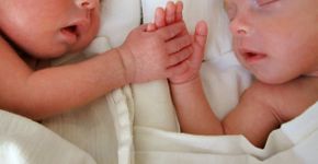 Foto: (Viorika/istock)