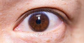 Foto: (kool99/istock)