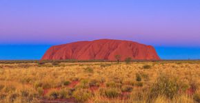 Foto: (bennymarty/iStock)