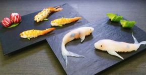 Nova tendência no Japão cria sushis em formato de carpas
