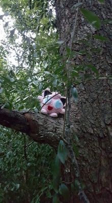 Nichole espalha monstrinhos de crochê pelas pokéstops da sua cidade