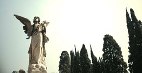 Em novembro, Cemitério da Consolação terá visitas noturnas por túmulos famosos