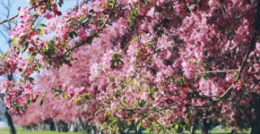 Foto: (Fonte: Jessica Fadel / Unsplash)