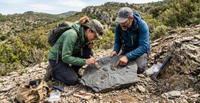 Dois caçadores de fósseis amadores encontraram quase 400 fósseis na França e revelaram como era a vida perto do Polo Sul há 470 milhões de anos