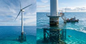 Eles construíram turbinas para gerar energia… Mas, sem perceber, eles estão trazendo a vida marinha de volta a um lugar onde tudo estava morto