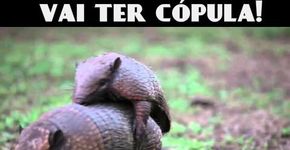 Faça amor, não faça FIFA: coletivo convoca brasileiros ao “Vai Ter Cópula”