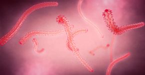 Foto: (Christoph Burgstedt/istock)