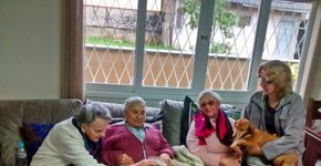Cadelas idosas são adotadas por asilo para fazerem companhia aos velhinhos