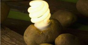 Cientistas criam aparelhos ‘movidos a batata’ para gerar energia