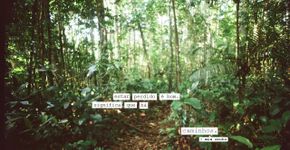 Poeme-se com Criolo, Gil, Mia Couto, Caetano, Cazuza e Drummond