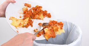 10 dicas para evitar o desperdício de alimentos em sua casa