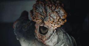 Estudo aponta risco real para fungo de “The Last of Us” se tornar uma ameaça global