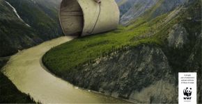 Propaganda ‘do bem’: conheça algumas campanhas de conscientização ambiental da WWF