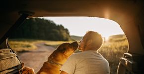Foto: (supersizer/iStock)
