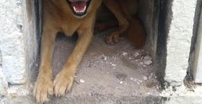 Foto: (Arquivo Pessoal)