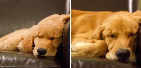 6 meses de diferença (Imagem: mhh484)