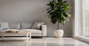 4 árvores de interior resistentes que sobrevivem em qualquer canto da sua casa