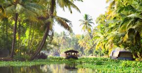 Foto: (Divulgação/Alleppey Tourism)