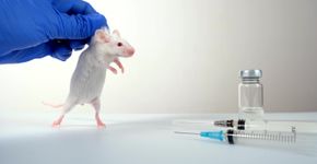 Foto: (Iuliia Mikhalitskaia/istock)