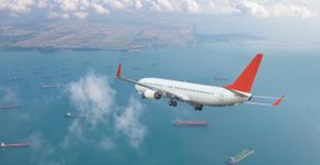 Foto: (murat4art/iStock)