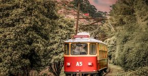 Foto: (Luís Felipe Rodrigues/Divulgação/ACE)