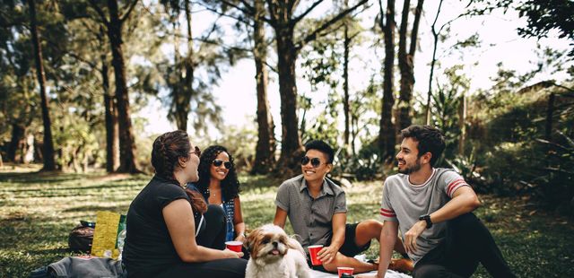 17 espaços ao ar livre para fazer um piquenique refrescante em SP