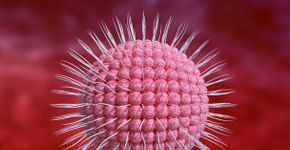 Foto: (Gilnature/istock)