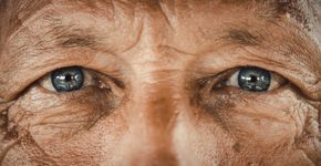 Foto: (skynesher/istock)